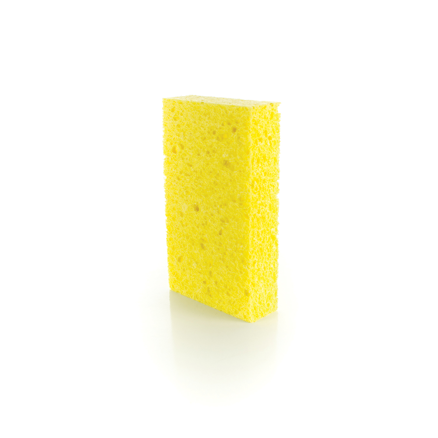 PASCO 5185 Large Sponge, 7-1/2 in L x 4-1/2 in W x 2-1/16 in THK, Cellulose, Natural