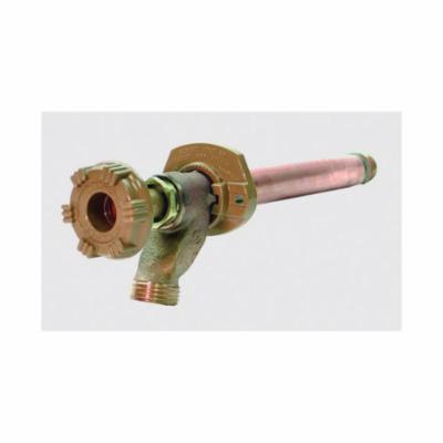 Gts Woodford 8 Wall Faucet No Freeze Hose Bibb Mh